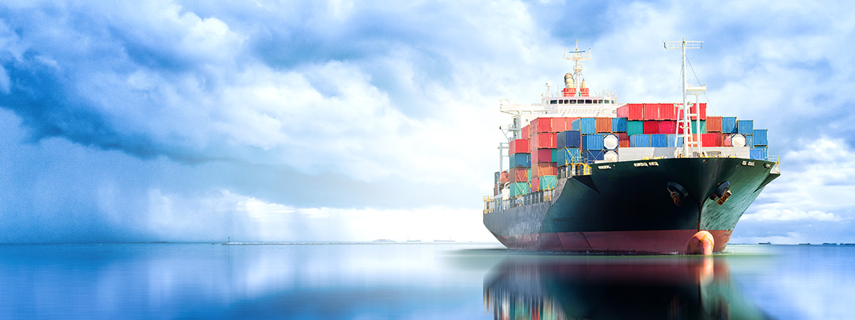 Navigate cross-border logistics for large cargo with ANL’s FBA headhaul, oversized warehousing, and DDP customs clearance. Reduce delays and costs in 2026.