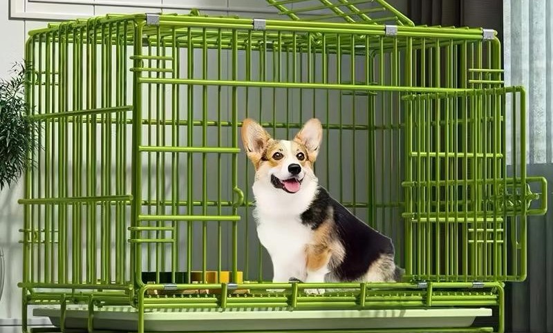 What should be considered when choosing a TikTok logistics shipping dog cage?